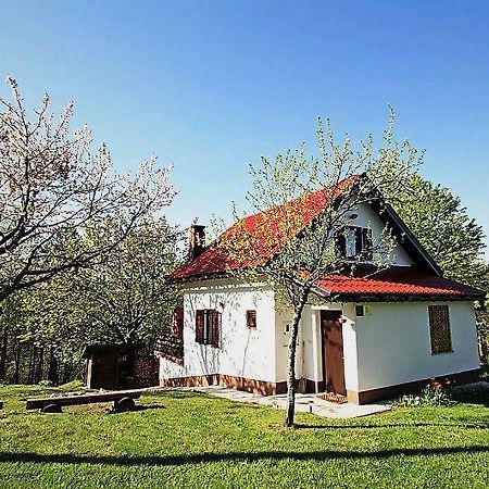 Holiday Home Coprnicka Hisa Skrad Zewnętrze zdjęcie