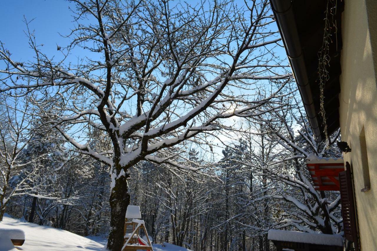 Holiday Home Coprnicka Hisa Skrad Zewnętrze zdjęcie